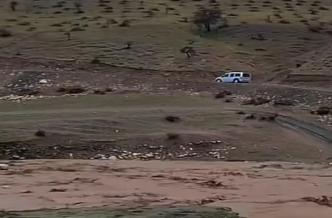 Siirt’te sağanak yağış hayvancılığı olumsuz etkiledi
