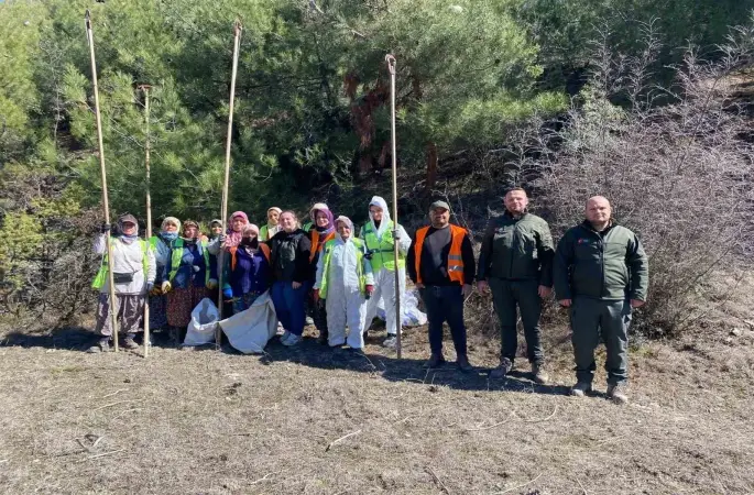 Sinop ormanlarında zararlılara karşı biyolojik savaş
