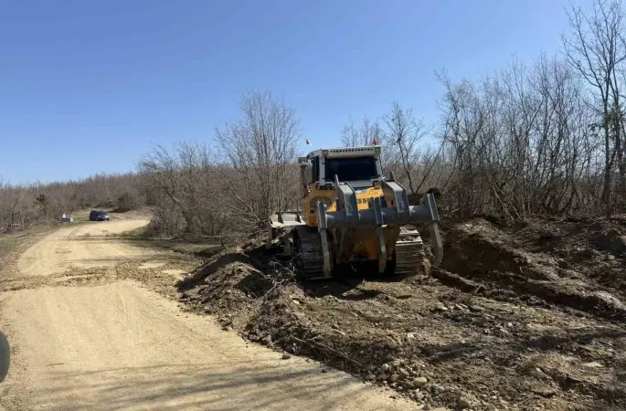 Sinop’a yeni orman nakliye güzergahı
