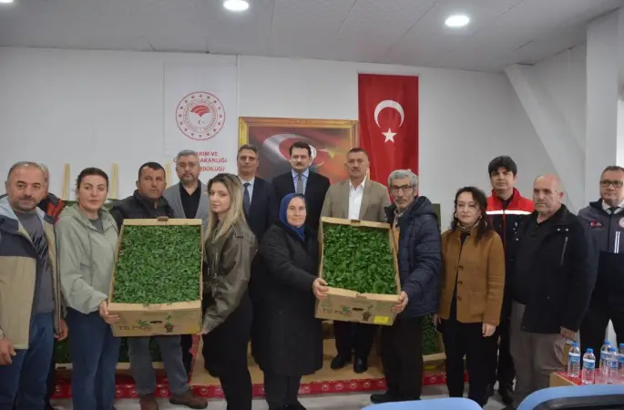 Sinop’ta 135 bin fide toprakla buluşuyor
