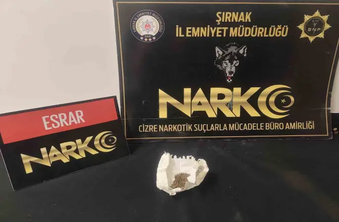 Şırnak’ta 17,8 milyonluk kaçak ürün ele geçirildi: 10 tutuklama
