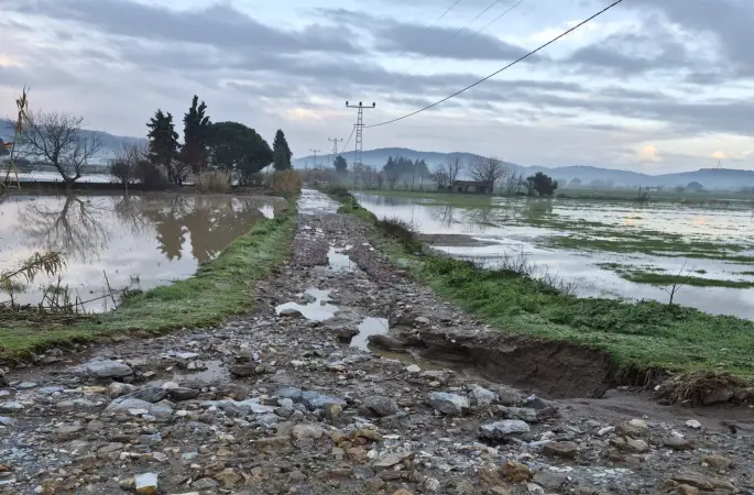 Söke’de aşırı yağışlar sonrası tarım alanlarında hasar tespiti
