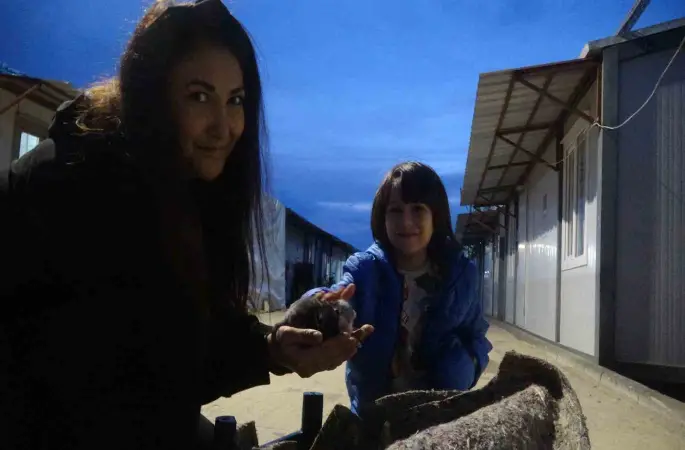 Su kanalında doğum yapan kedi ve 3 yavrusunun yeni yuvası depremzede ailenin konteyneri oldu
