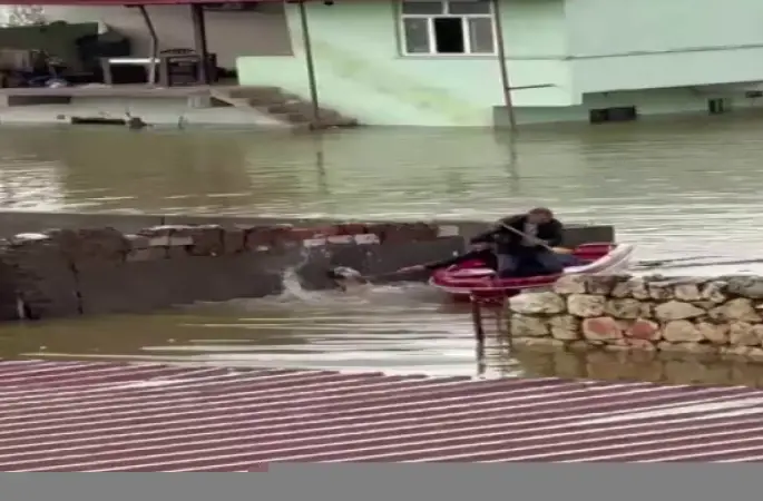 Su taşkınında evde mahsur kalan köpek, vatandaşların bindiği botla kurtarıldı
