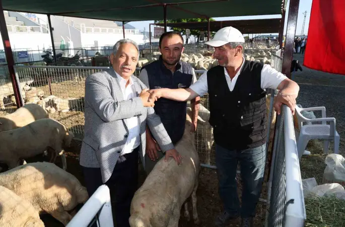 Talas’ta Kurban Pazarı başvuru tarihi belli oldu
