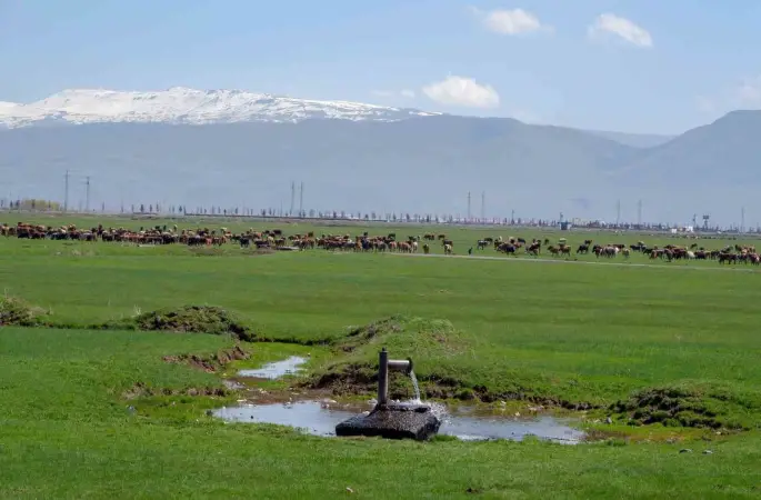 Tarımda önder üretici modeli vurgusu
