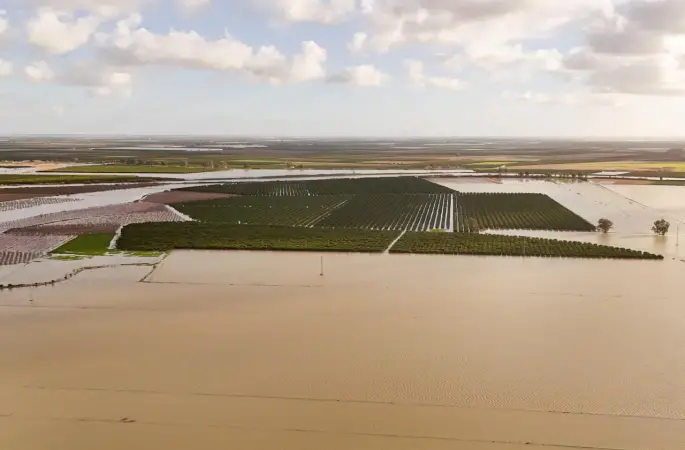 Tarsus Belediyesi sel ve fırtına sonrası zarar tespiti için sahada
