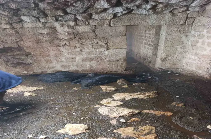 Tarsus’ta ahıra yıldırım düştü: 5 küçükbaş hayvan telef oldu
