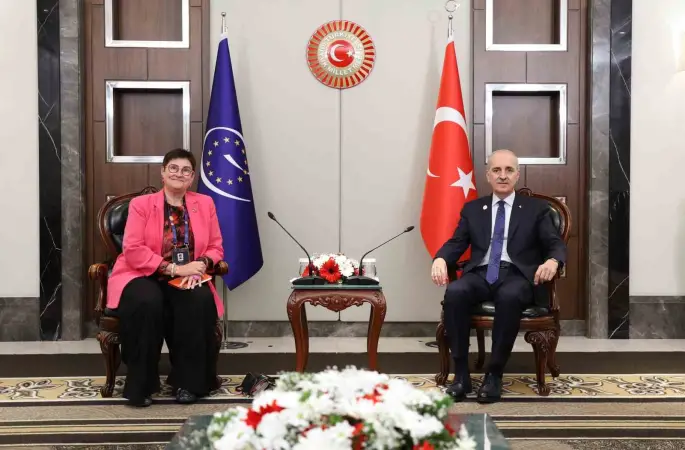 TBMM Başkanı Kurtulmuş, Avrupa Konseyi Parlamenter Meclisi Başkanı Bayr ile bir araya
