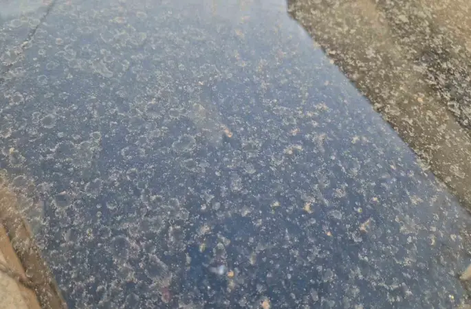 Tekirdağ’da çamur yağdı
