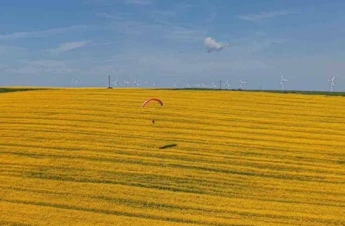 Tekirdağ’da sarı şölen: Paramotorlar sarı tarlaları gezdi
