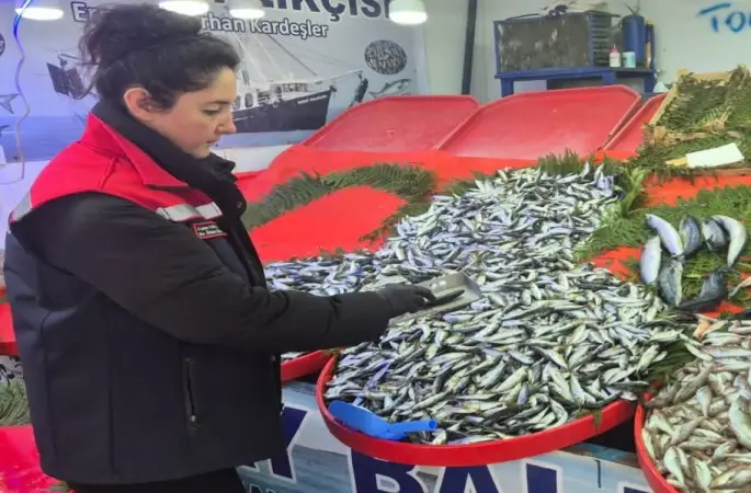 Tekirdağ’da su ürünlerine sıkı denetim

