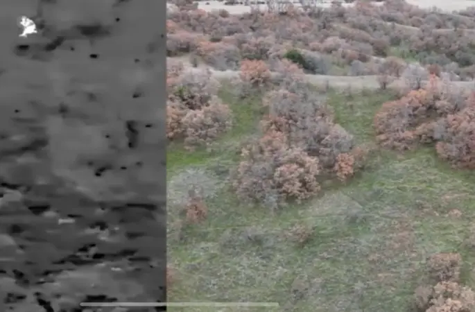 Termal drone destekli denetimde 2 kaçak avcı yakalandı
