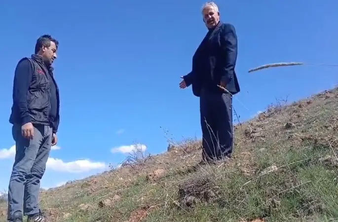 Ters laleyi koparmanın cezası 700 bin TL
