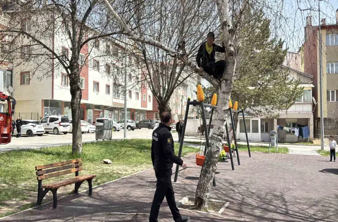 Topu almak için çıktığı ağaçtan inemeyen çocuk itfaiyeden yardım istedi
