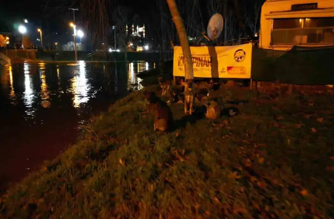 Tunca Nehri taştı: Suyla dolan Sarayiçi güreş alanında köpekler mahsur kaldı
