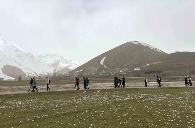 Üniversite öğrencilerinden çiğdemler arasında doğa yürüyüşü
