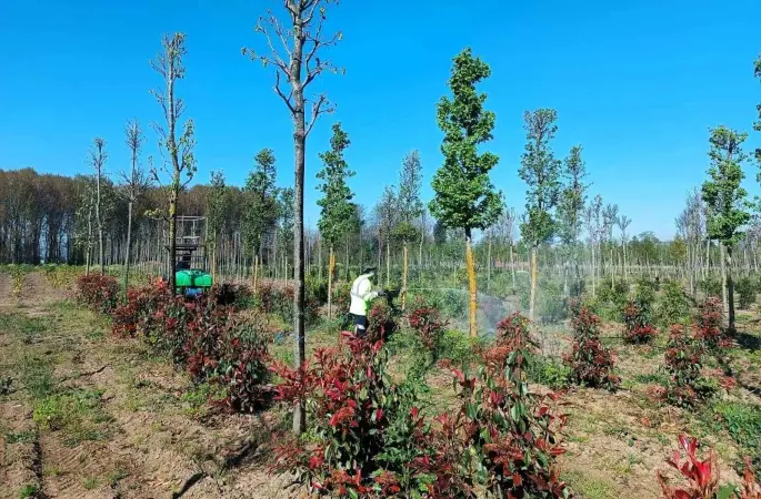 Üretim fidanlığında bitkiler hastalıklara karşı korumaya alındı
