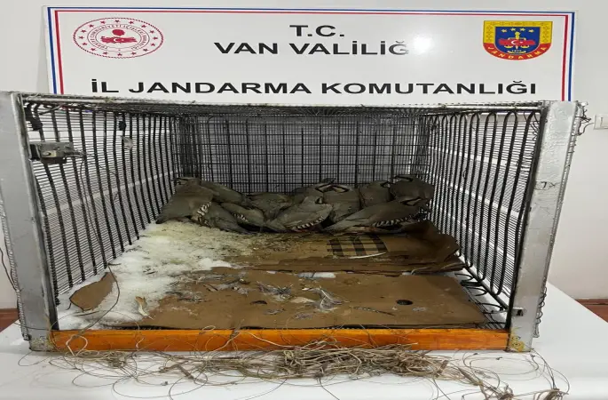 Van’da keklik avına 75 bin 303 TL idari para cezası
