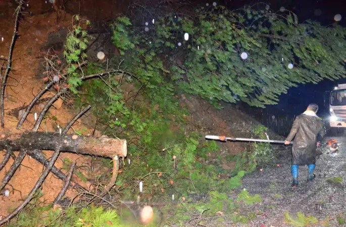 Yağış ağaçları devirdi, yol kısa sürede açıldı
