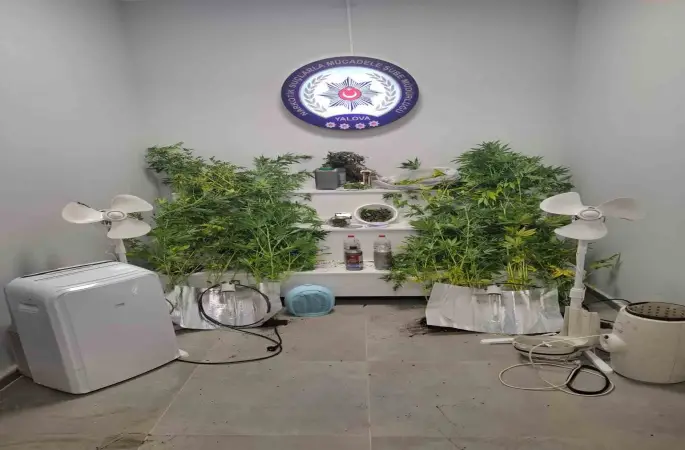 Yalova’da saklandığı evde uyuşturucu yetiştiren hükümlü yakalandı
