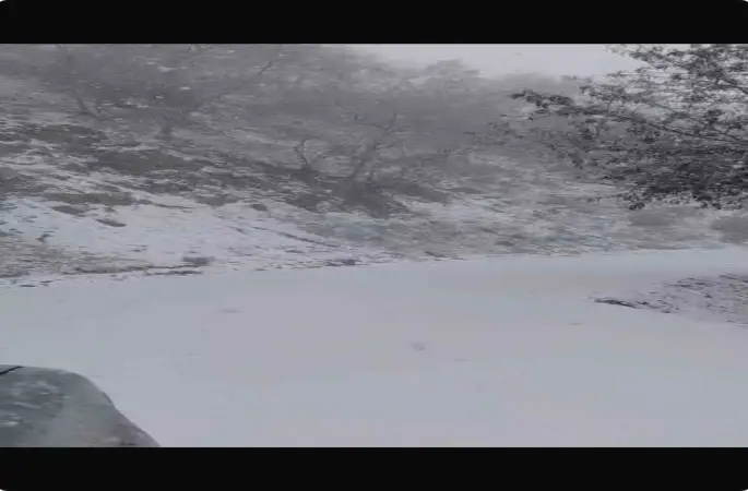 Yazın yanan orman sahası beyaza büründü
