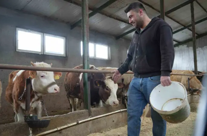 Yem desteği Bayburtlu çiftçinin yüzünü güldürdü: "Bu destek bize iyi geldi"
