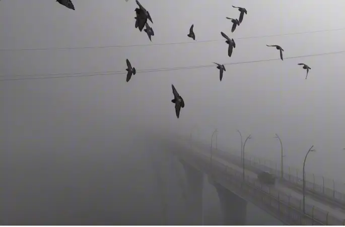 Yoğun sisten kaybolan yapılar dronla görüntülendi
