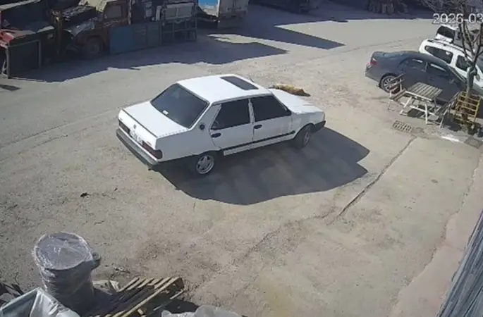 Yolda yatan köpeği ezdi, arkasına bakmadan uzaklaştı
