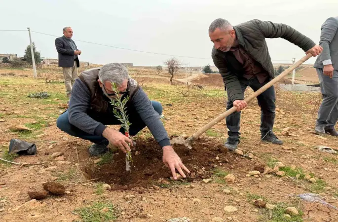 Zeytinli Mahallesi sıfır atık köyü olma yolunda ilerliyor
