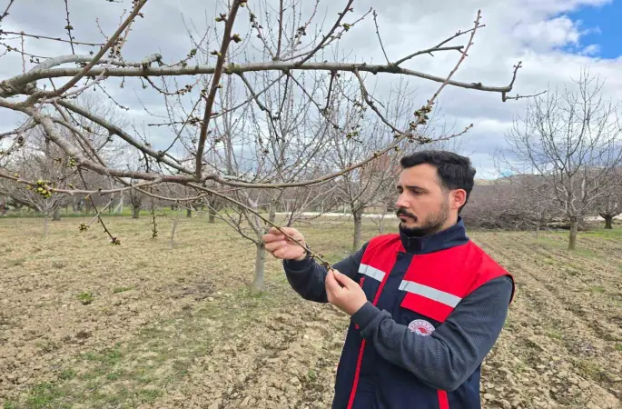Zirai don olaylarına karşı meyve bahçelerinde kontroller sürüyor
